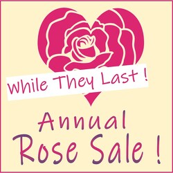 Our Rose Sale in Kettering, Ohio, near Dayton, OH